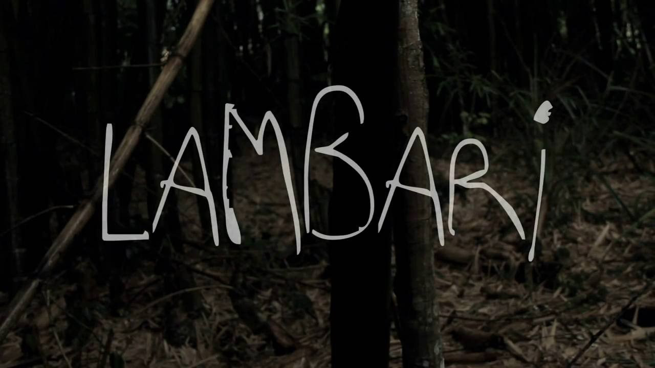 Backdrop for Lambari