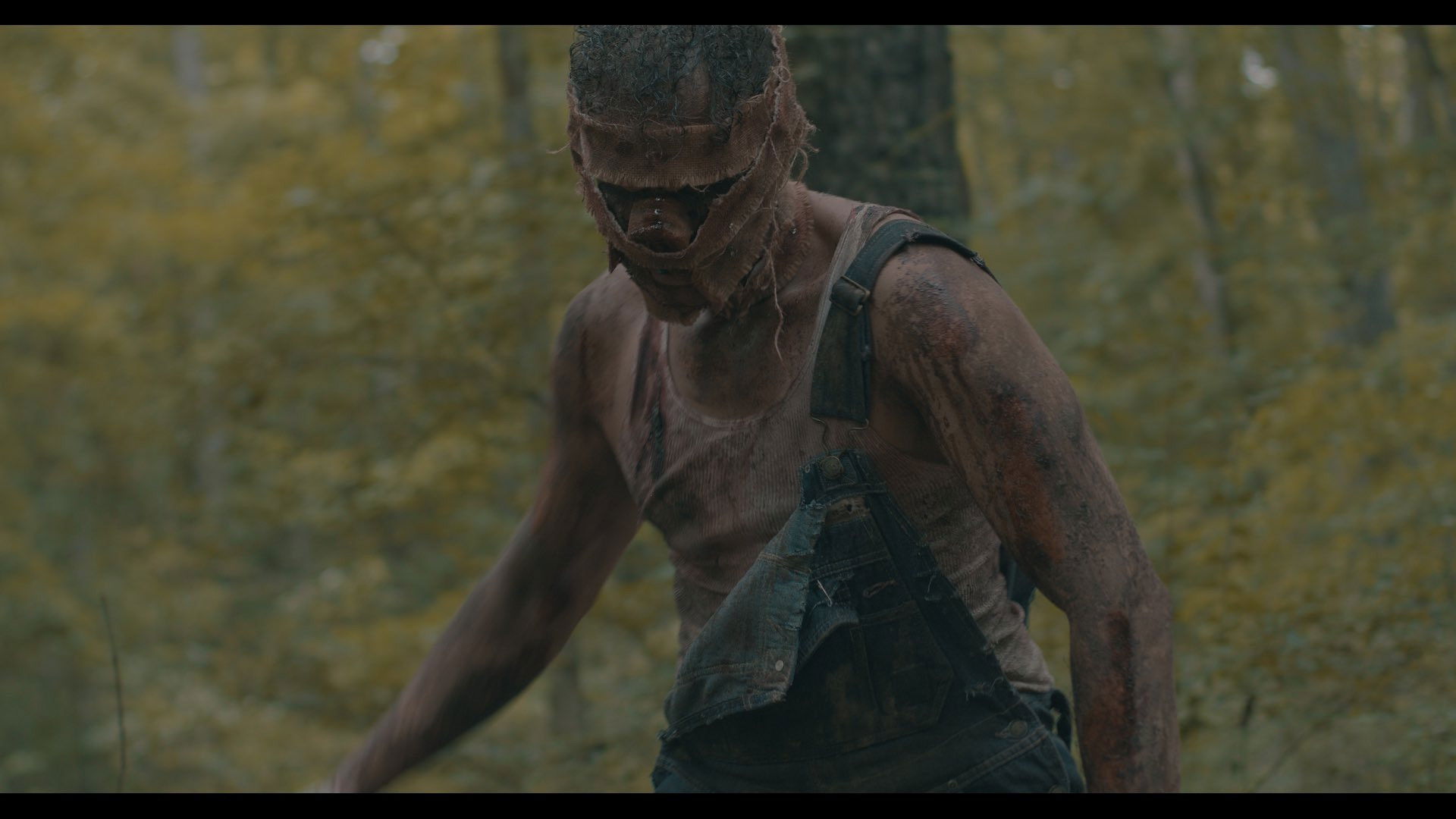 Backdrop for Piglet Rising