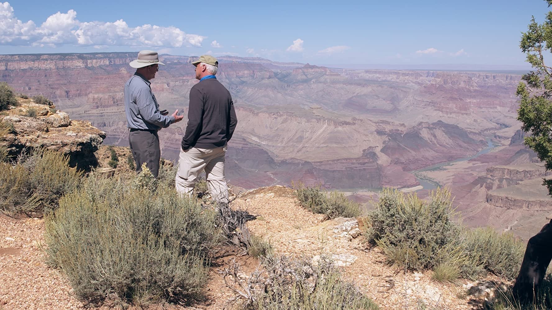 Backdrop for Is Genesis History?