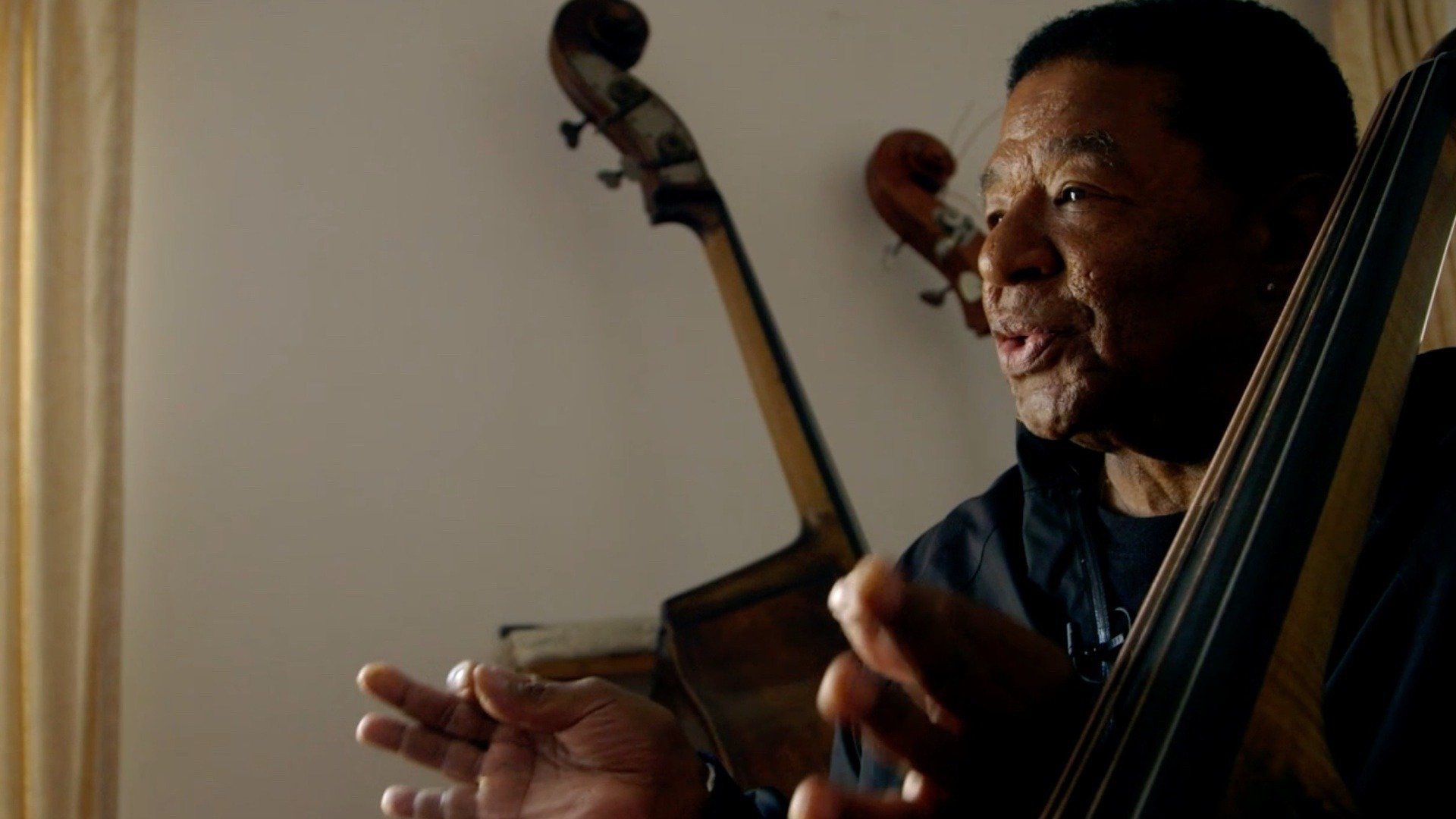 Backdrop for Buster Williams Bass to Infinity