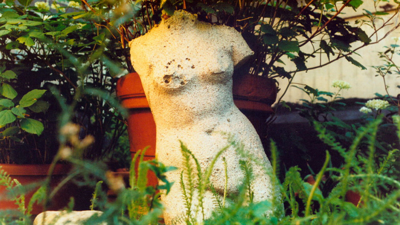 Backdrop for The Odds of Recovery