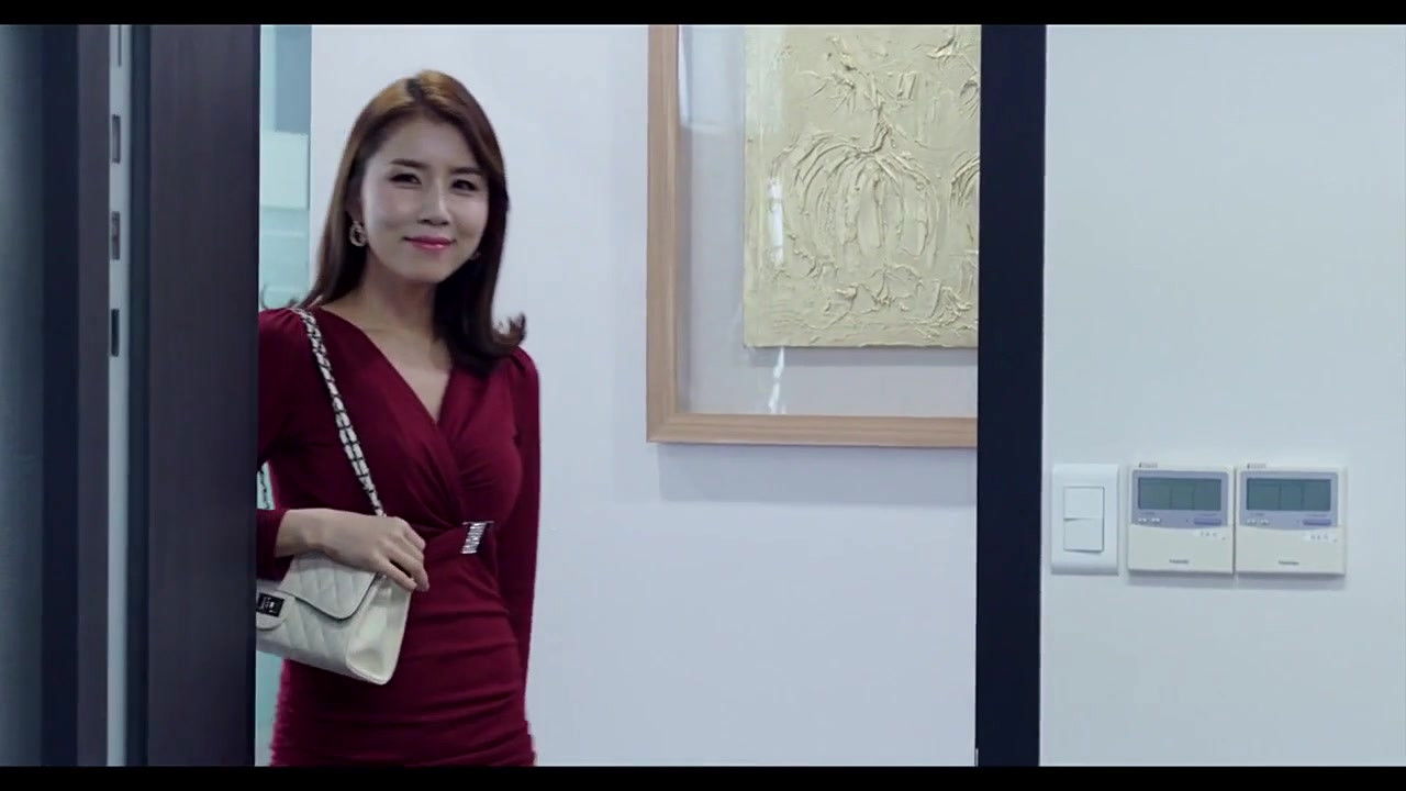 Backdrop for My Wife's Videos