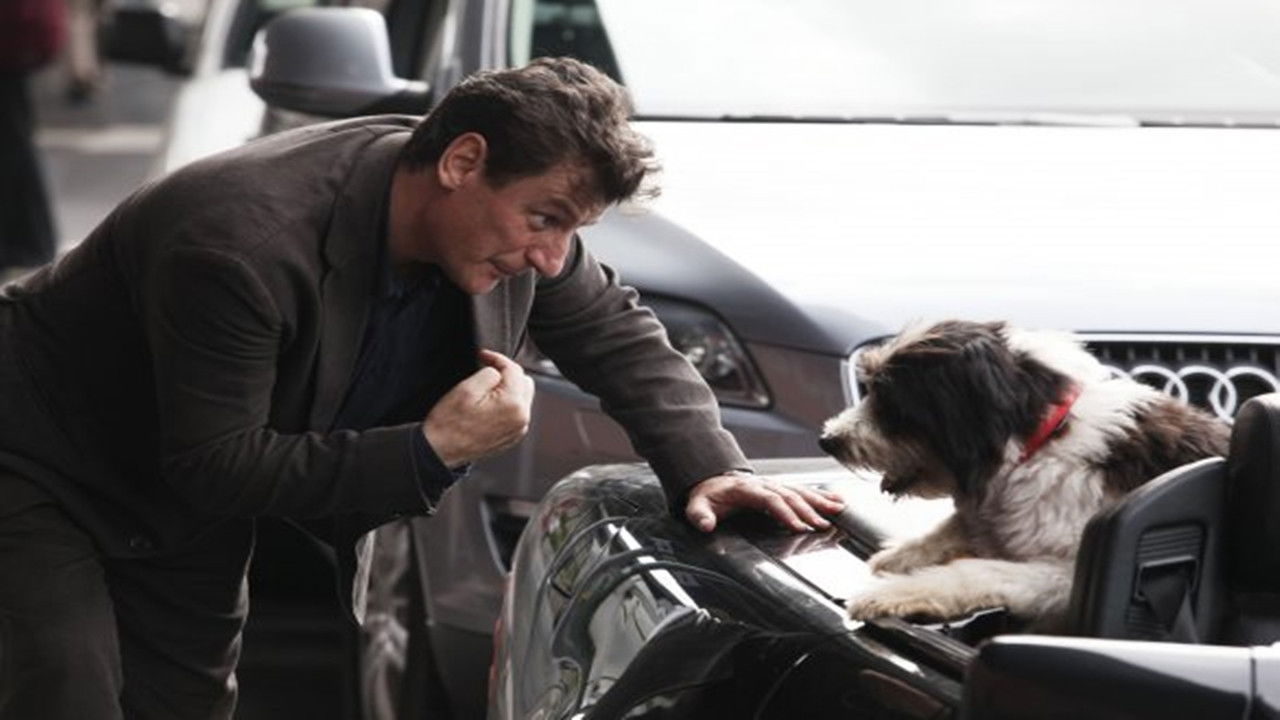 Backdrop for Un cane per due