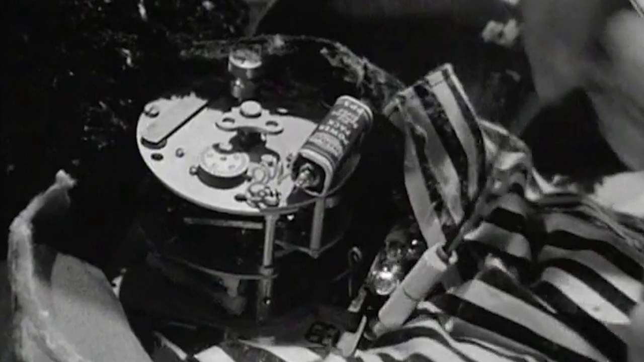 Backdrop for Tomorrow at Ten