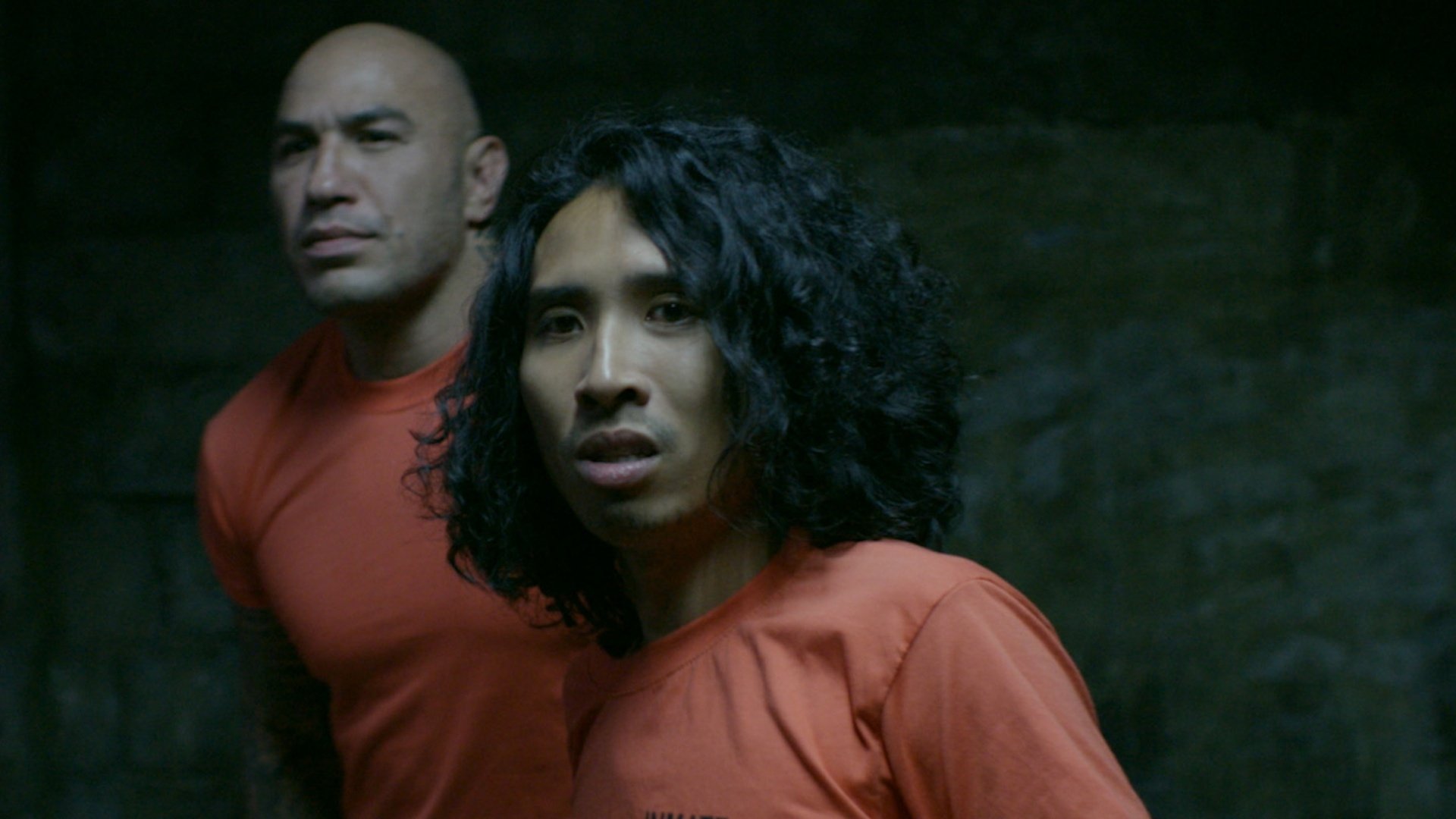 Backdrop for Day Zero