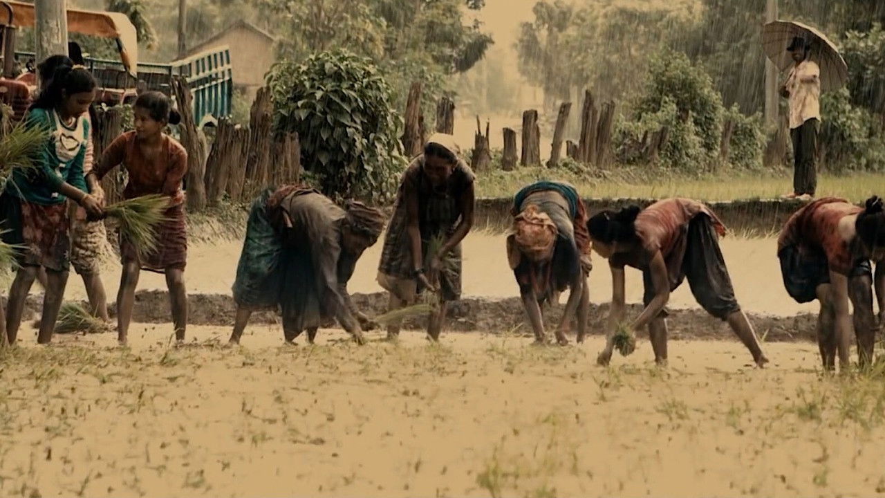 Backdrop for Dhuwani