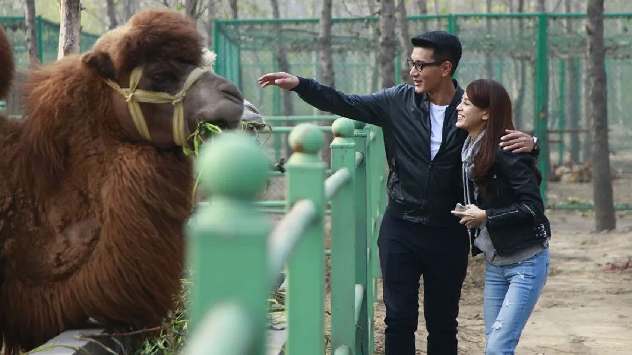 Backdrop for Zero Point Five Love