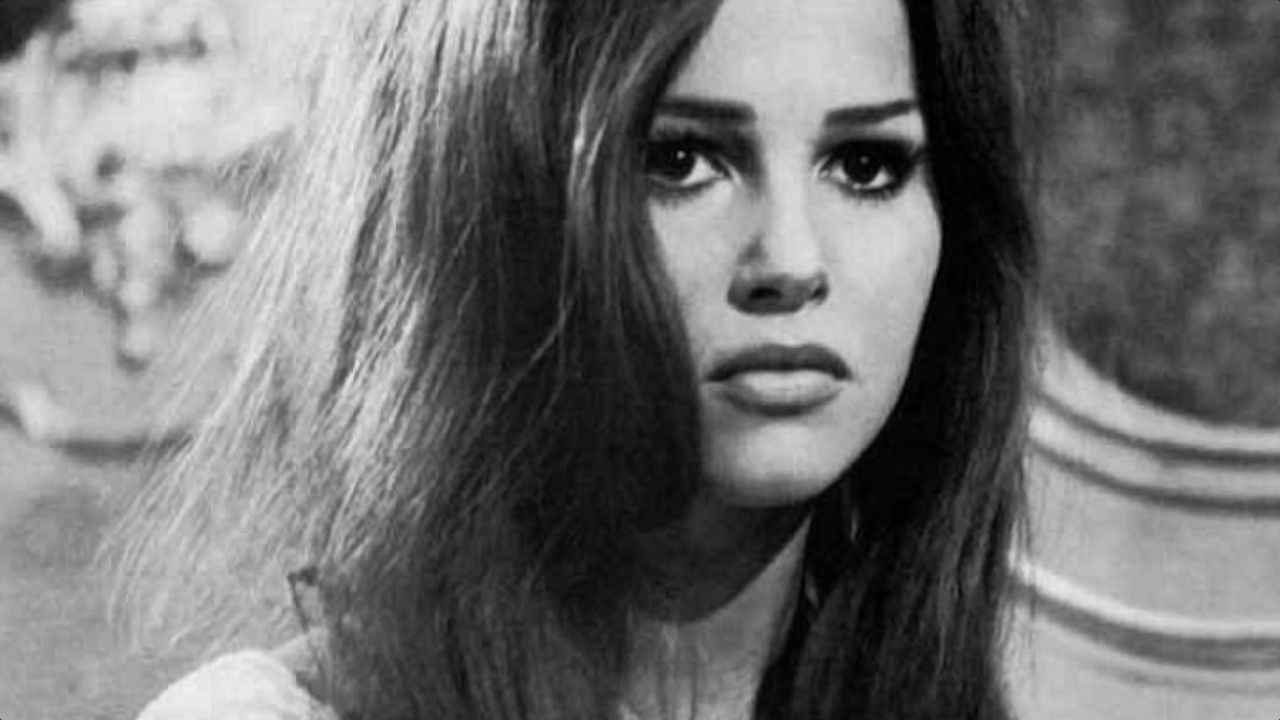 Backdrop for The Alley Cats