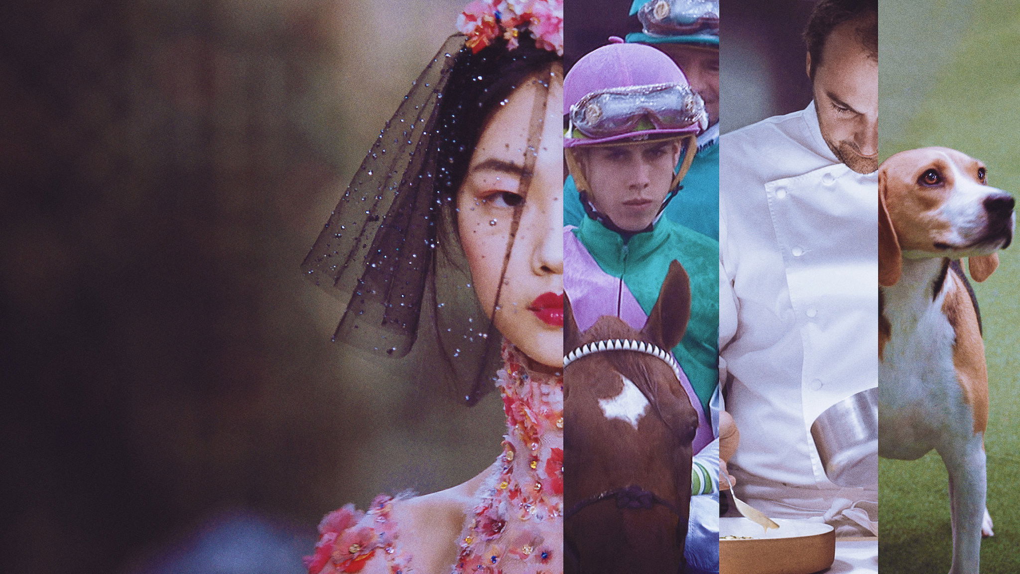 Backdrop for 7 Days Out