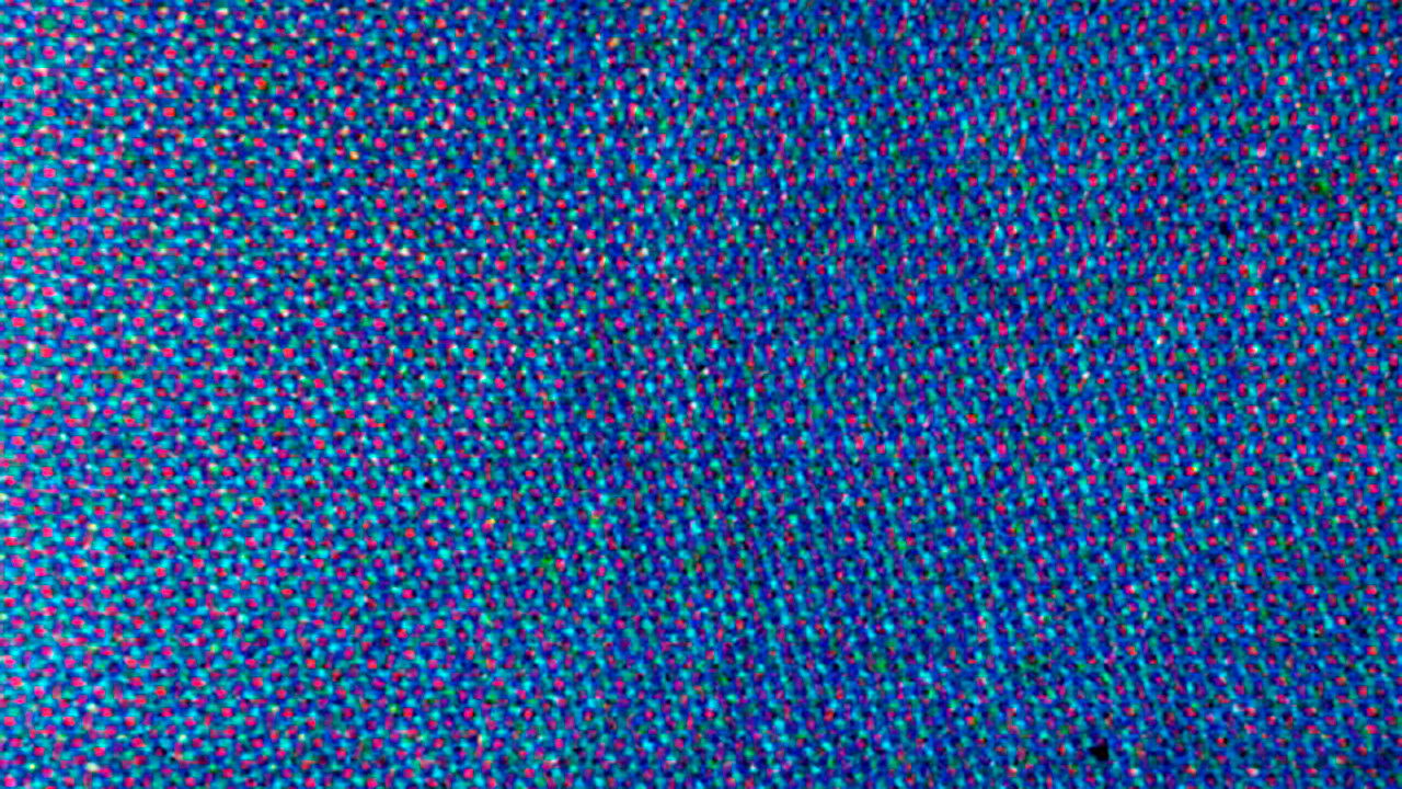 Backdrop for Blue Movie