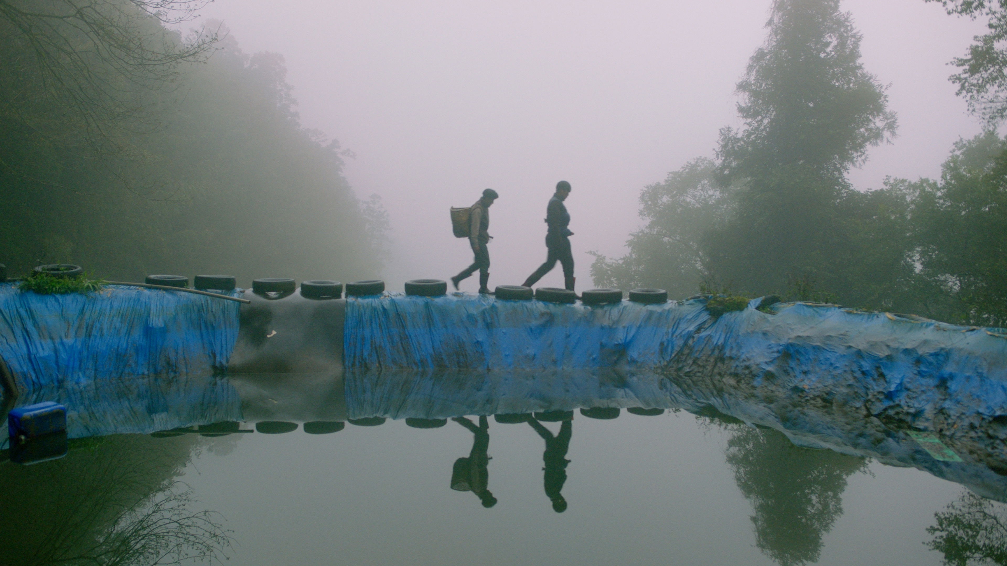 Backdrop for Tayal Forest Club