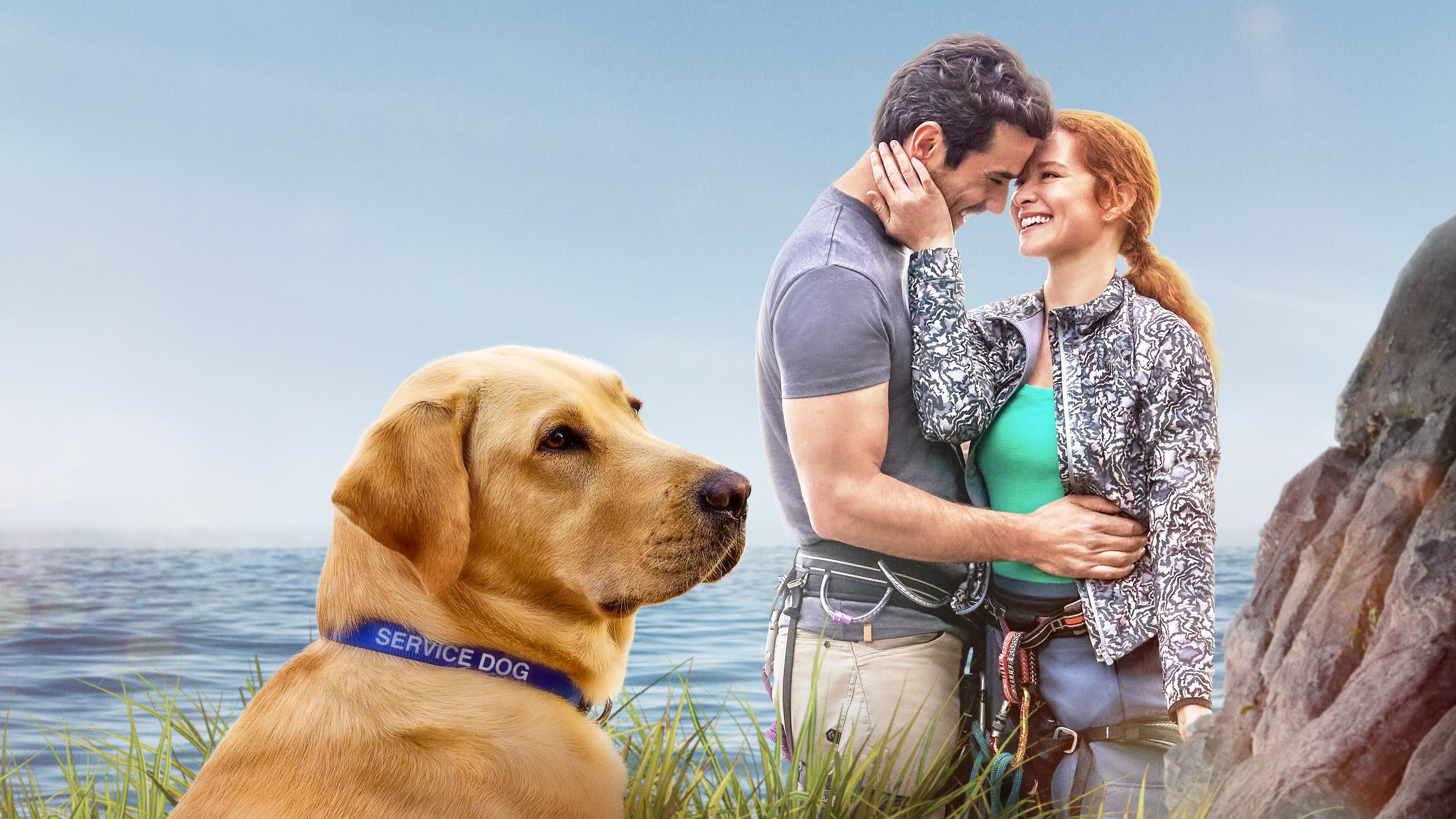 Backdrop for Guiding Emily