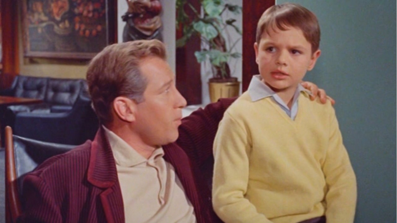 Backdrop for An der Donau, wenn der Wein blüht