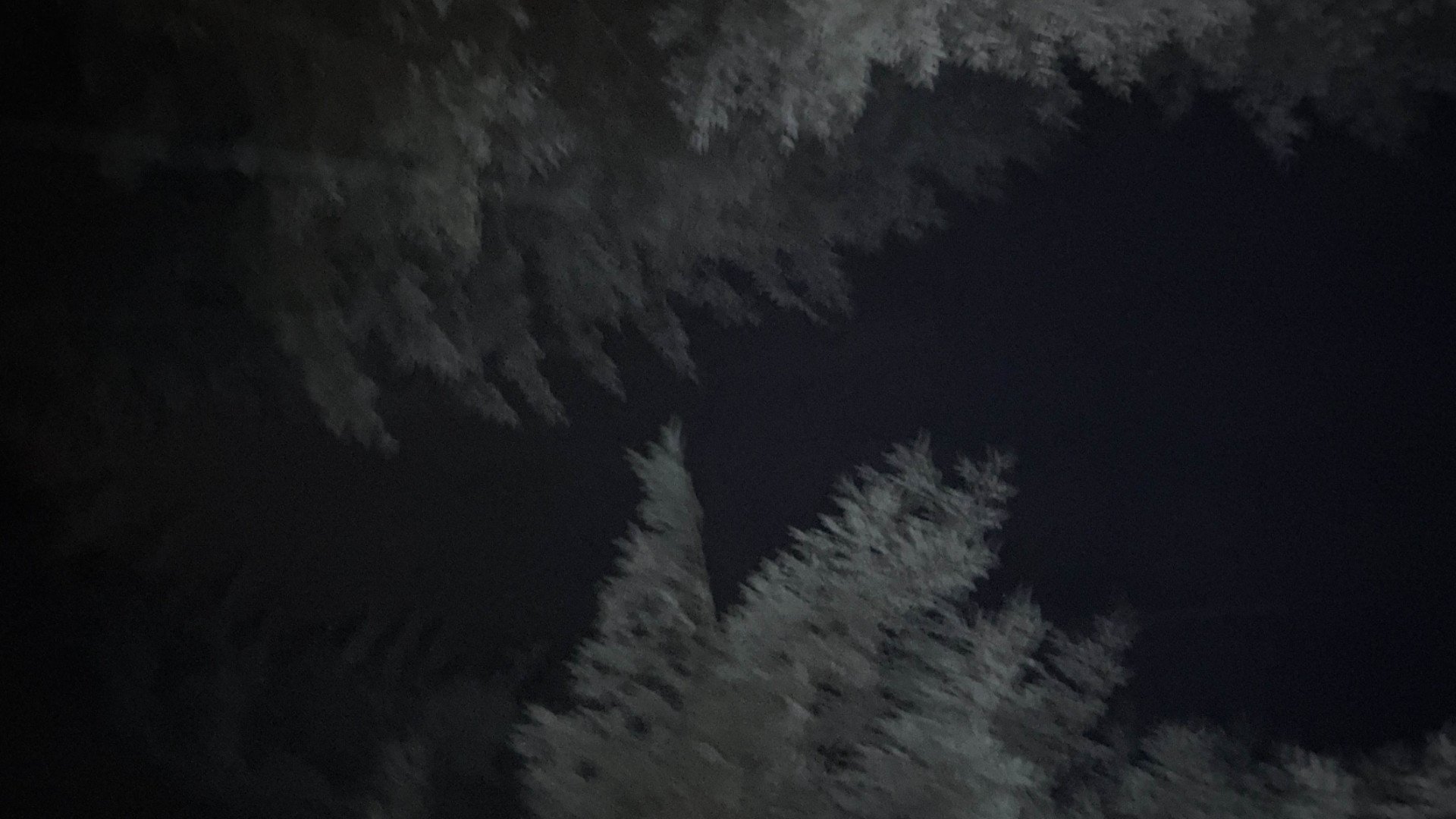 Backdrop for Last to Die