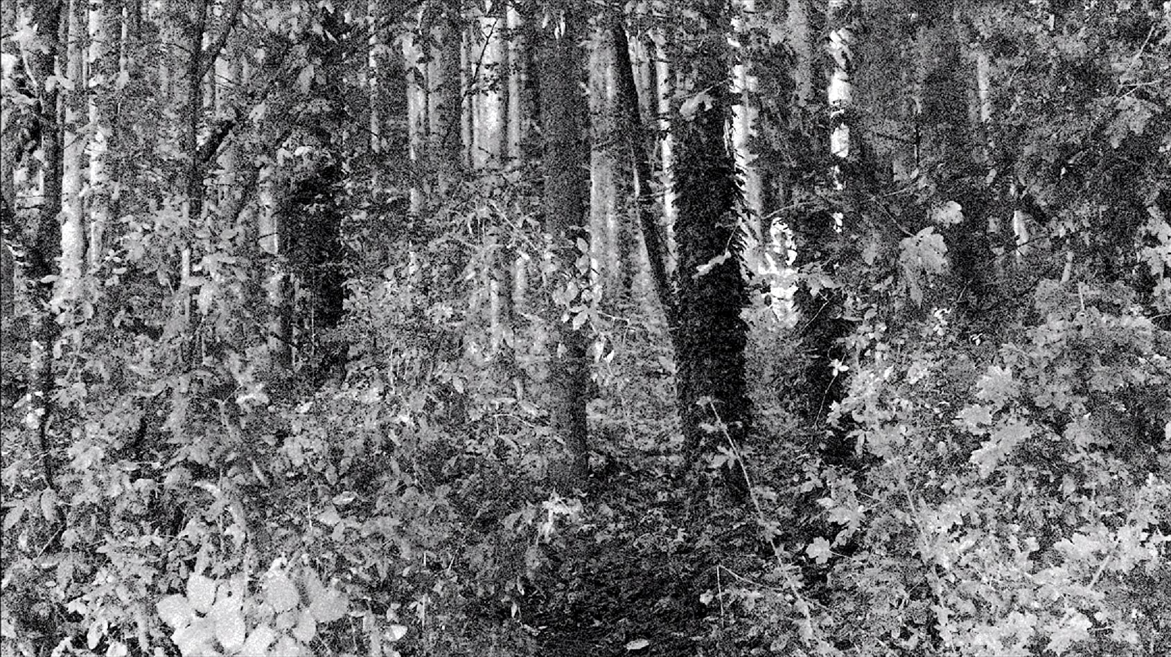 Backdrop for La Capsule