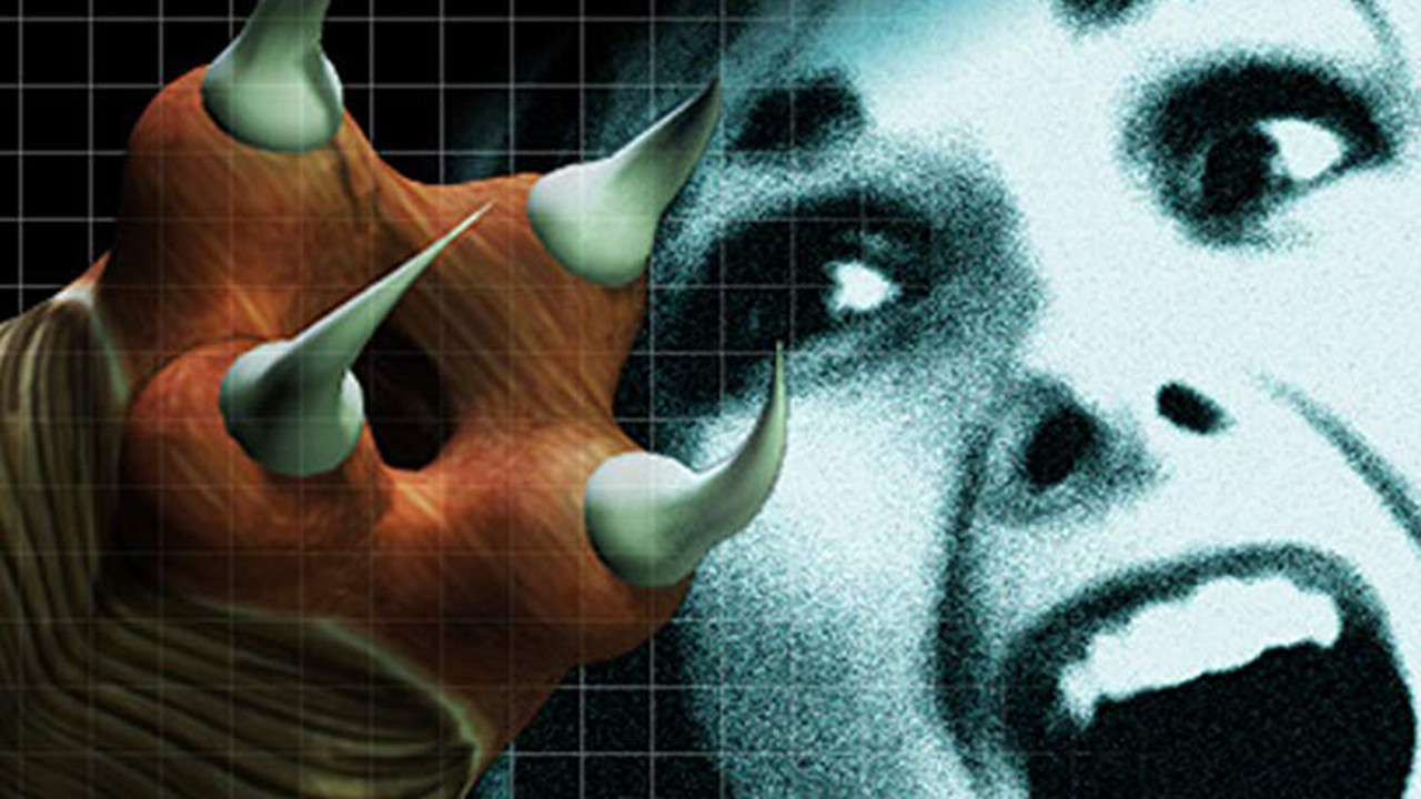 Backdrop for Maggots