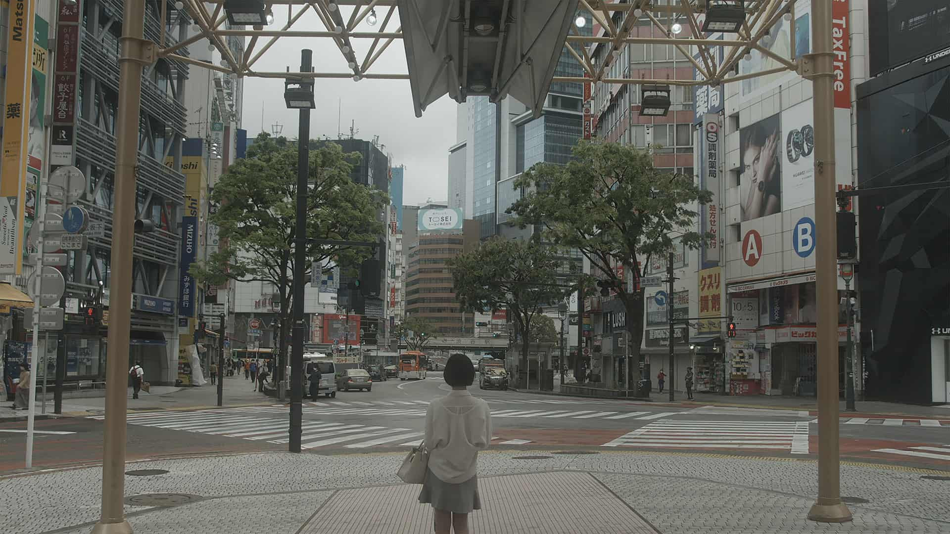 Backdrop for Unprecedented