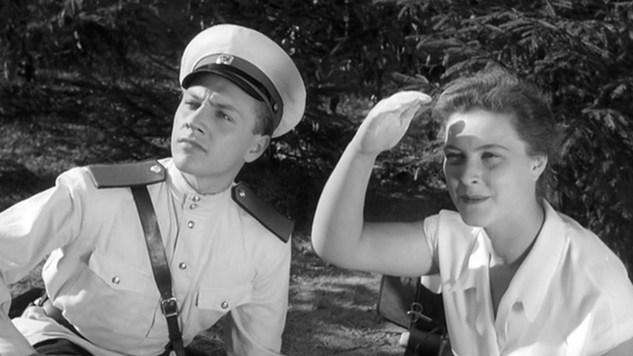 Backdrop for Case No. 306