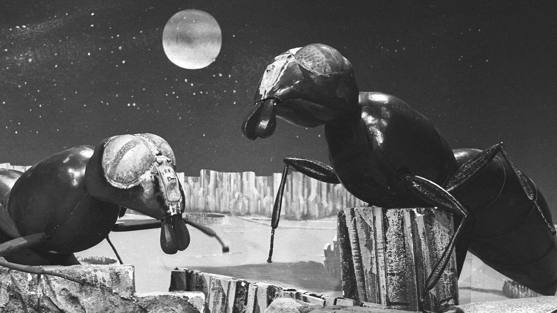 Backdrop for Doctor Who: The Web Planet