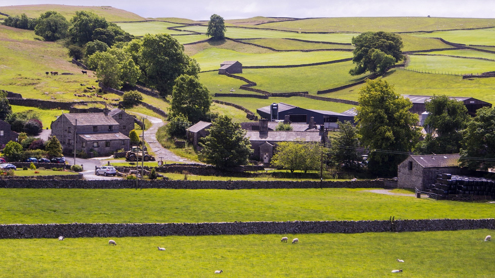 Backdrop for The Yorkshire Dales and The Lakes
