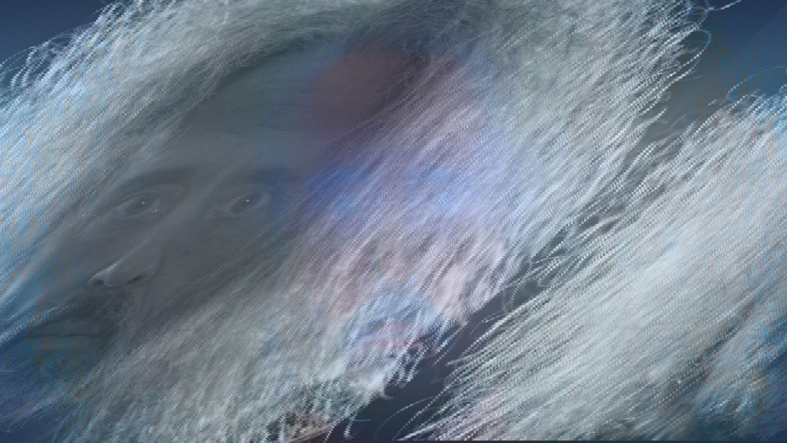 Backdrop for André Is an Idiot