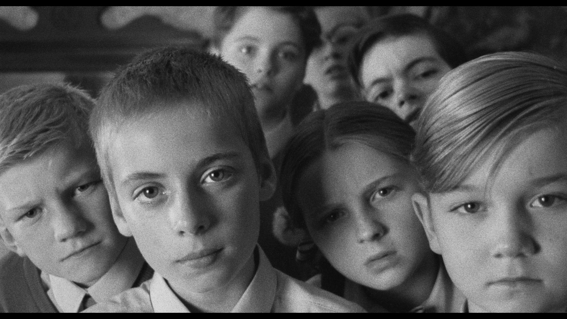 Backdrop for They Made You into a Weapon and Told You to Find Peace