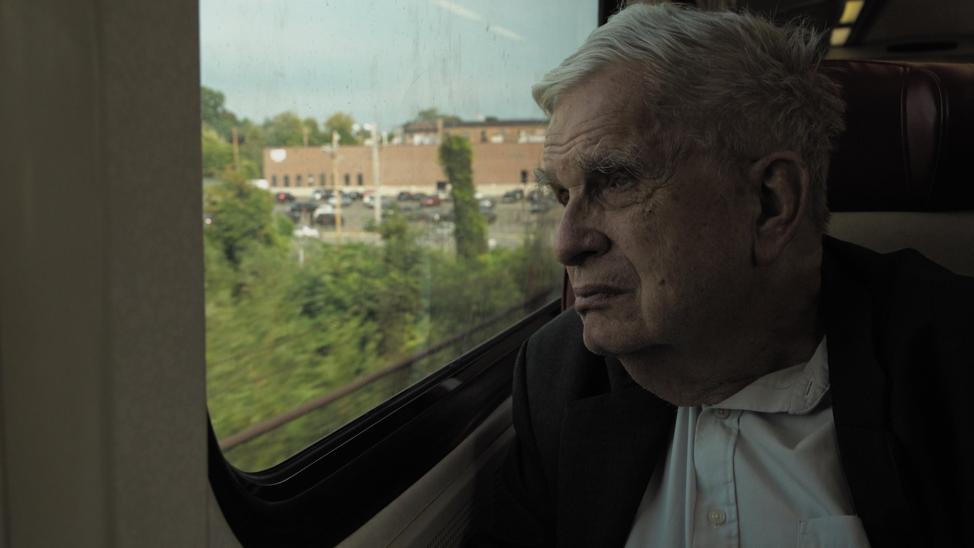 Backdrop for Decadent No. 2419