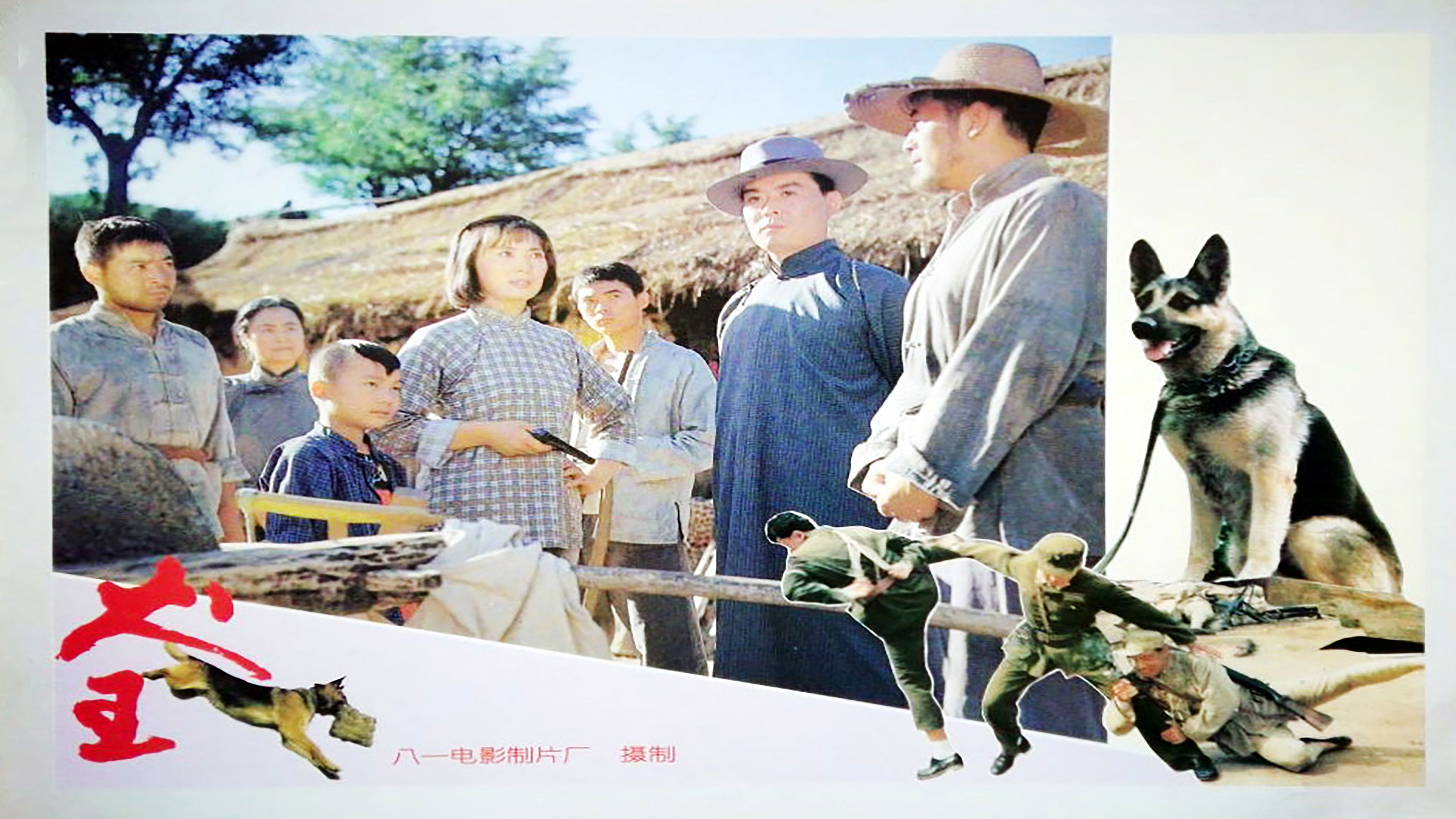 Backdrop for Dog King