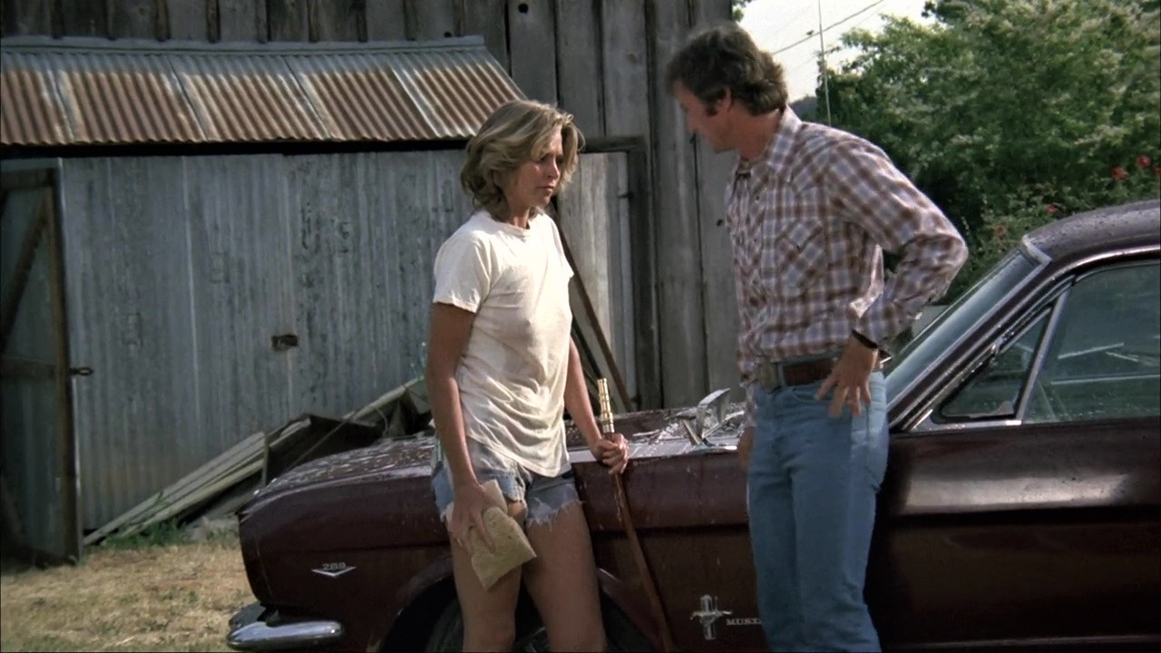 Backdrop for Black Oak Conspiracy