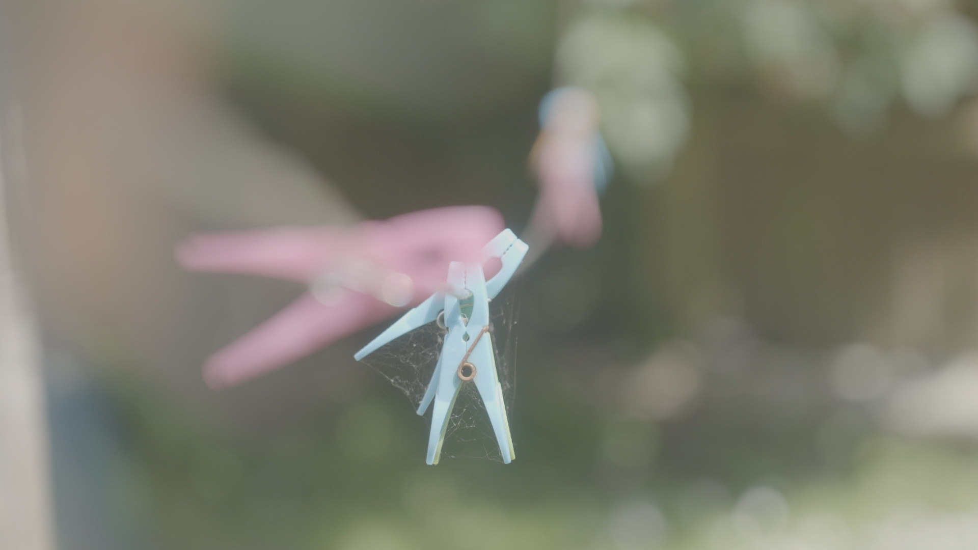 Backdrop for Playing House