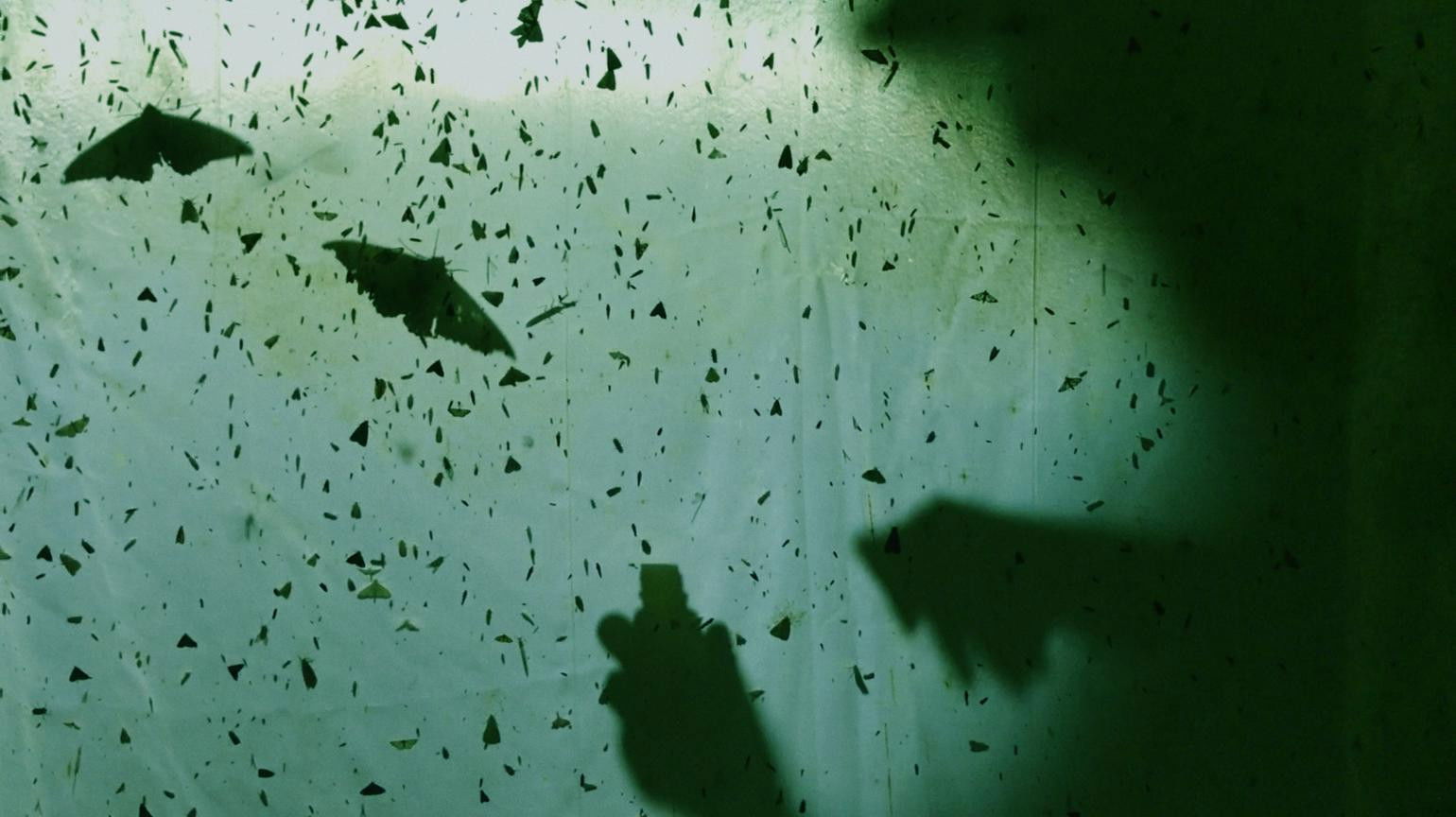 Backdrop for The Last Ones