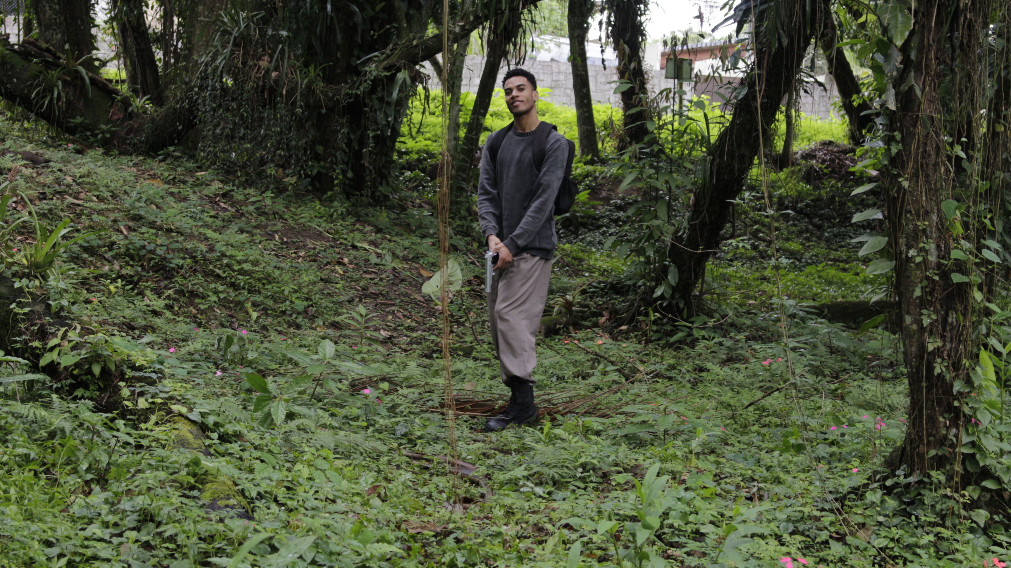 Backdrop for Corvo de Madeira