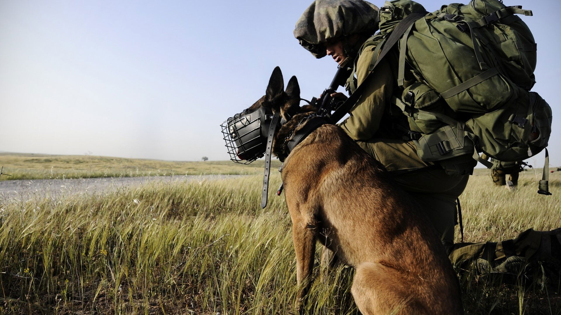 Backdrop for Unité d'élite : le nouveau rôle des animaux