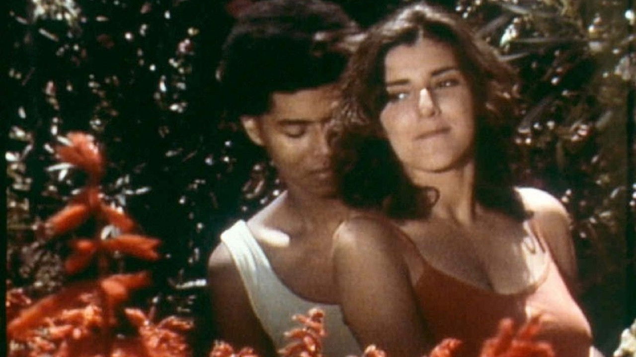 Backdrop for Mecanoscrit del segon origen