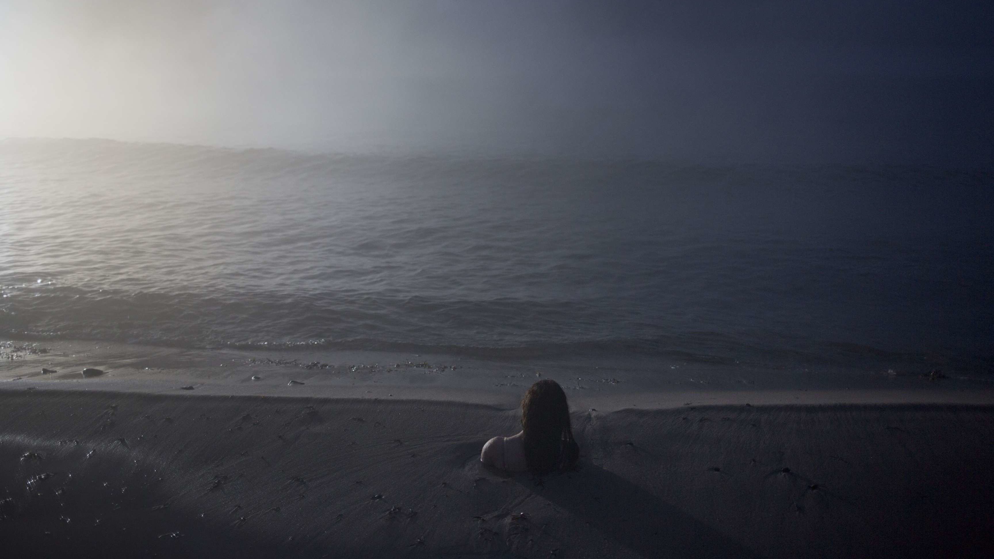 Backdrop for Springfloden