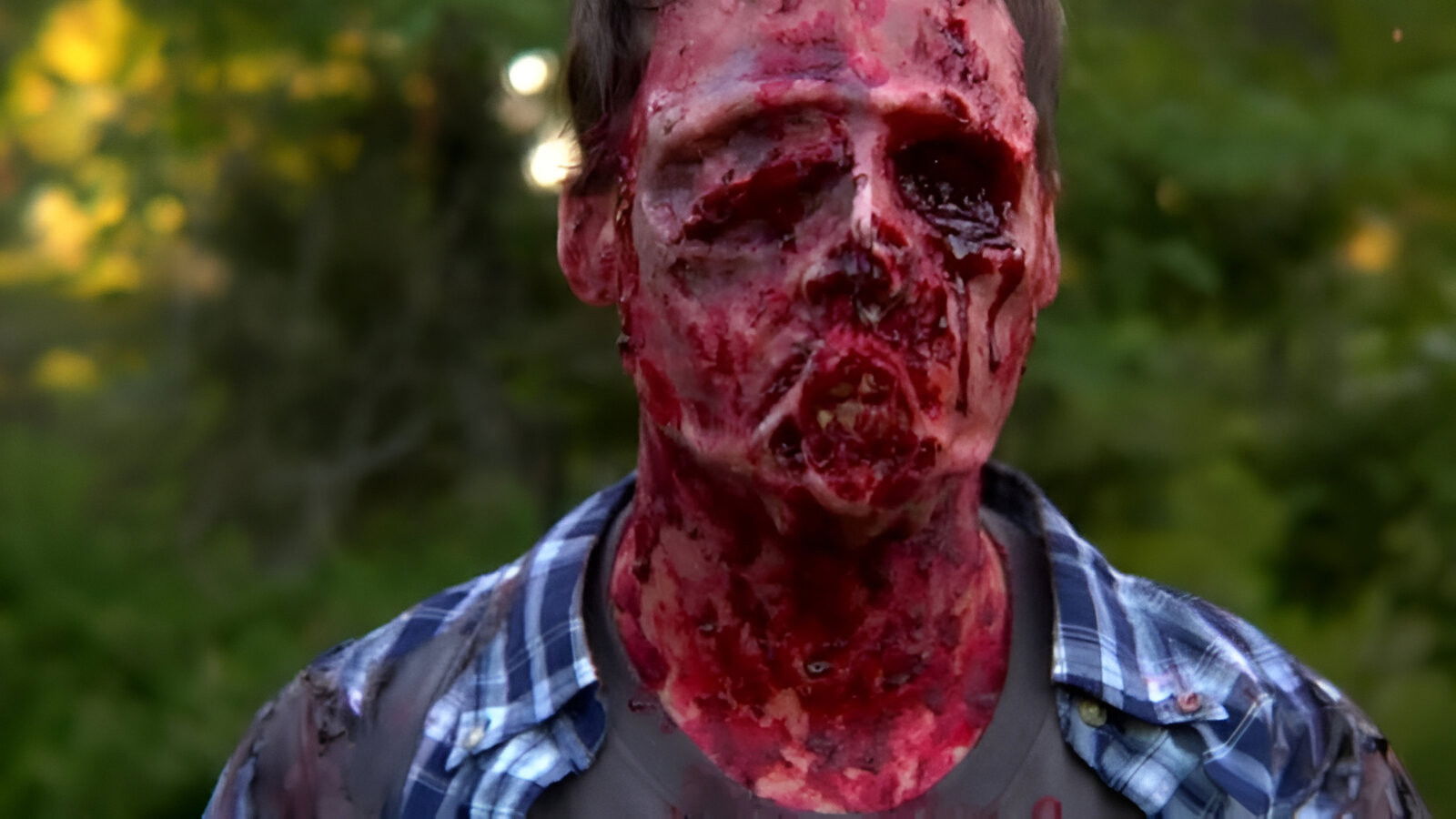 Backdrop for The Sky Has Fallen