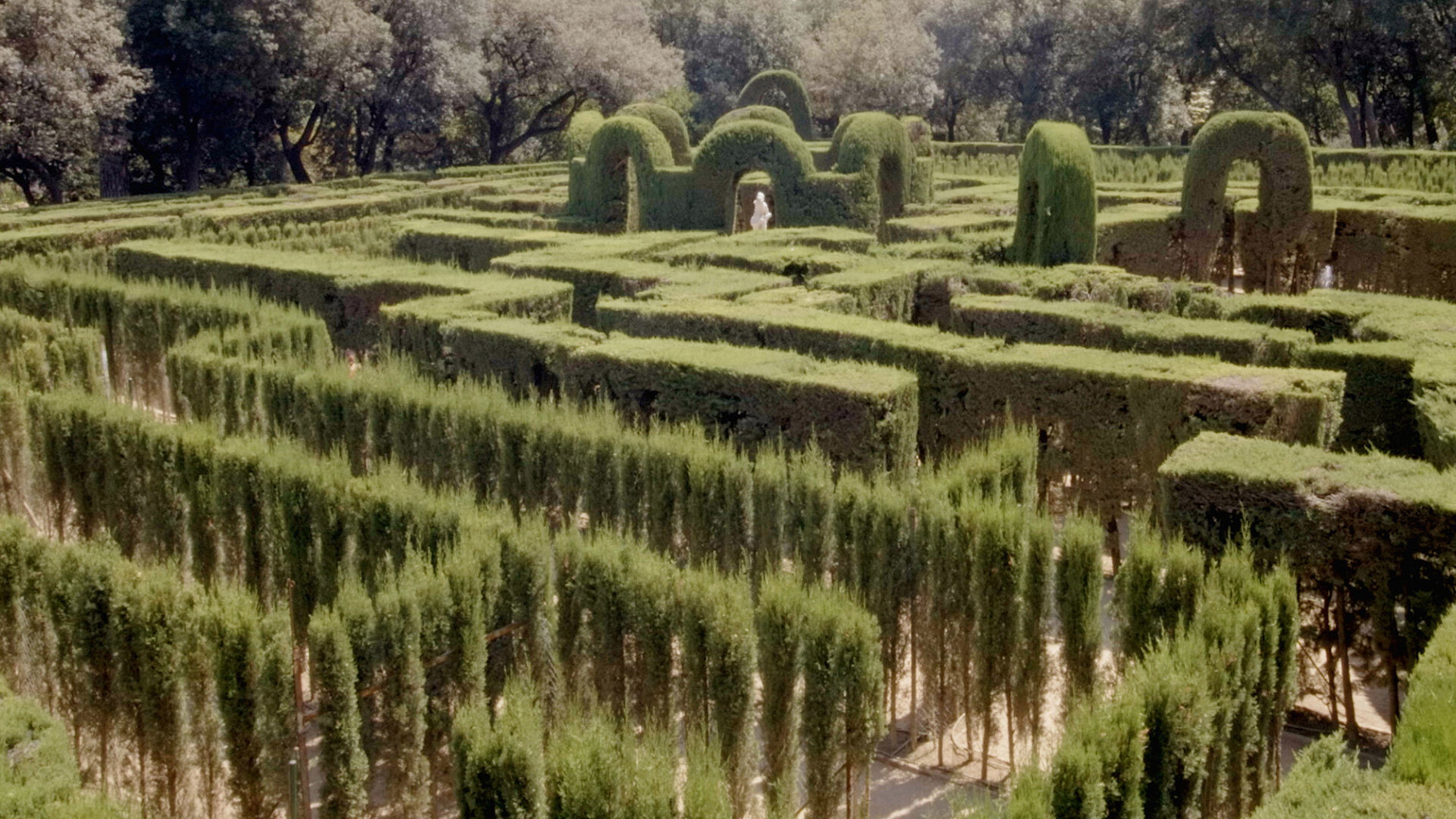 Backdrop for Laberint Sequences