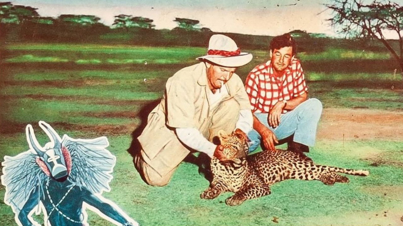 Backdrop for Africa Adventure