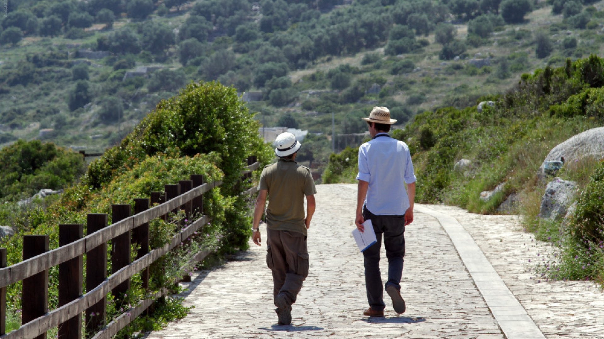 Backdrop for Quiet Bliss
