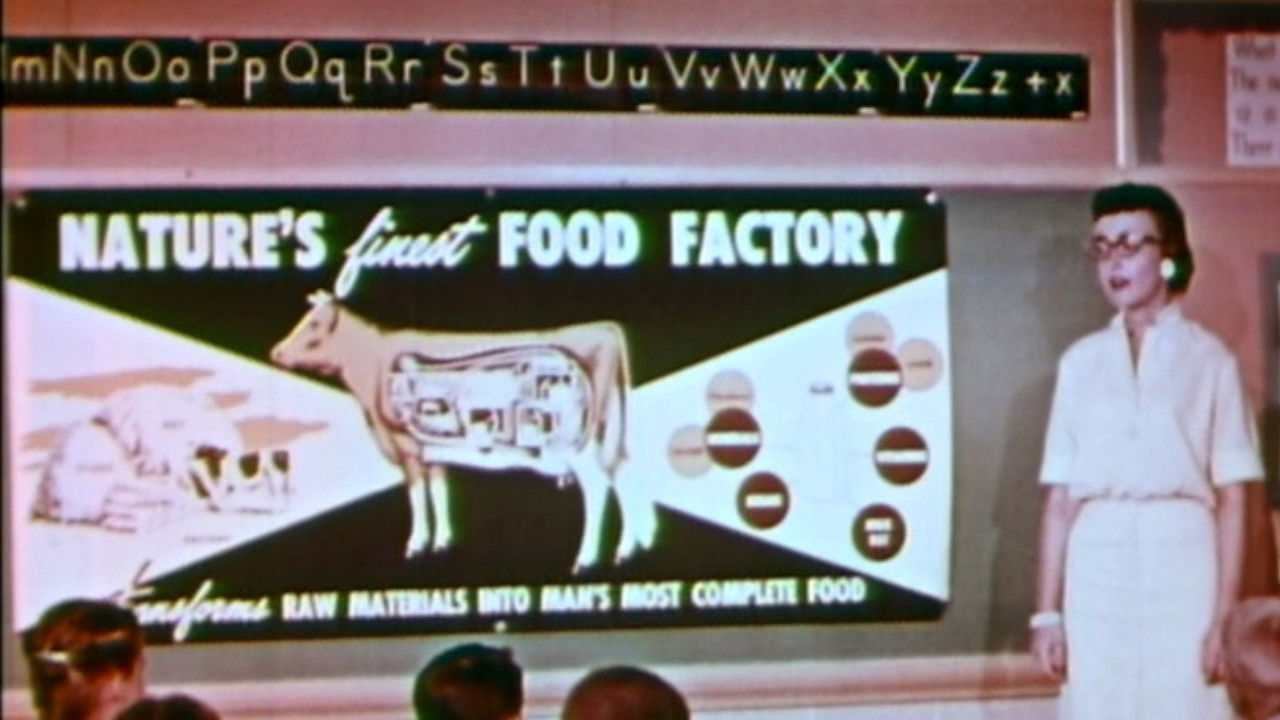 Backdrop for My Milkman, Joe