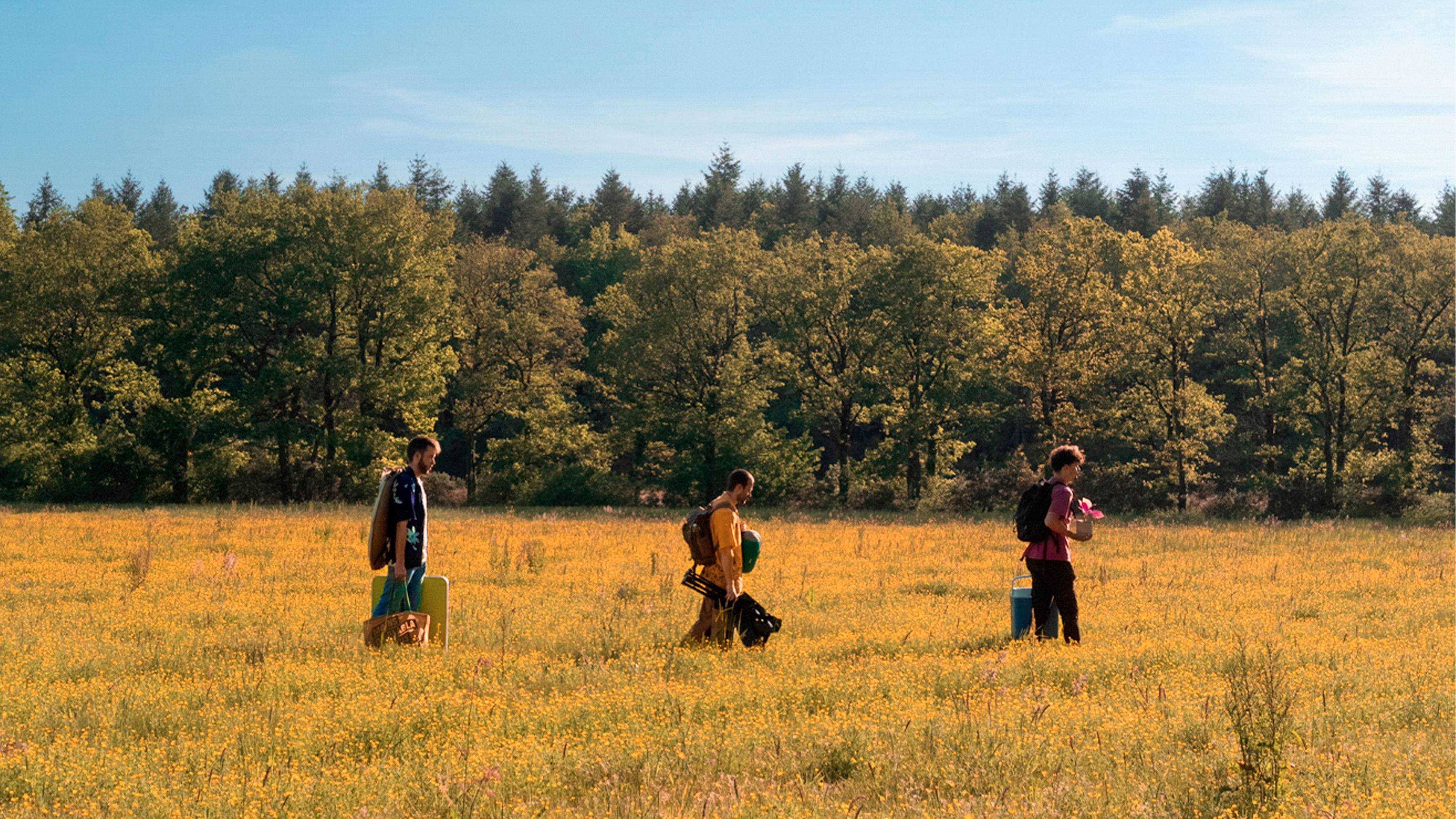 Backdrop for Ciel rose