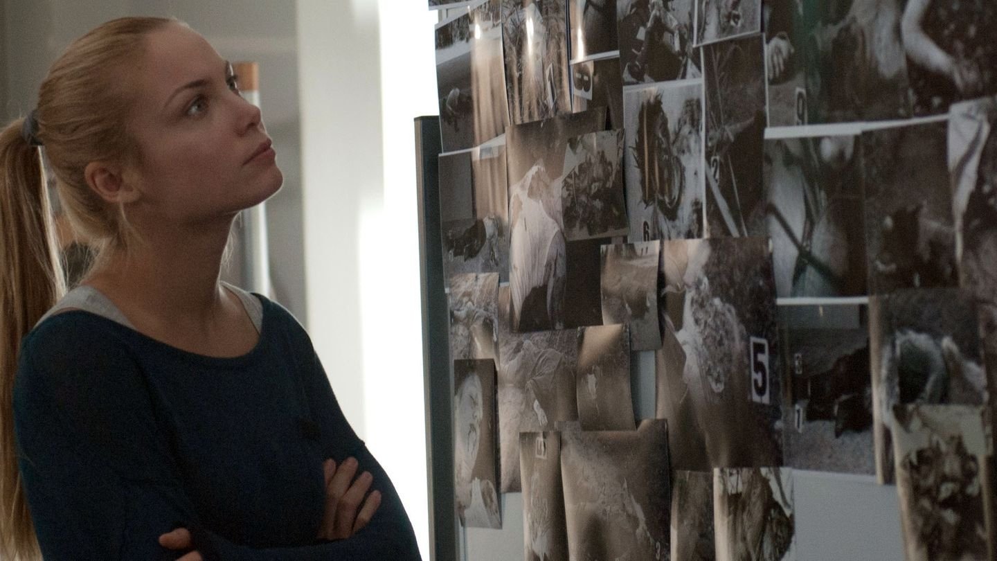 Backdrop for The Photographer