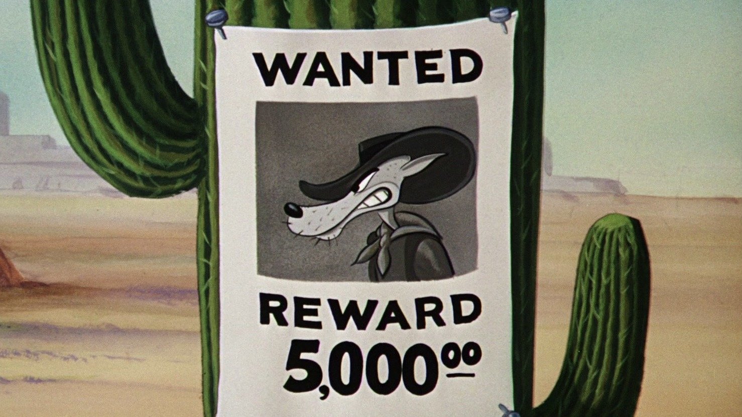 Backdrop for Wild and Woolfy