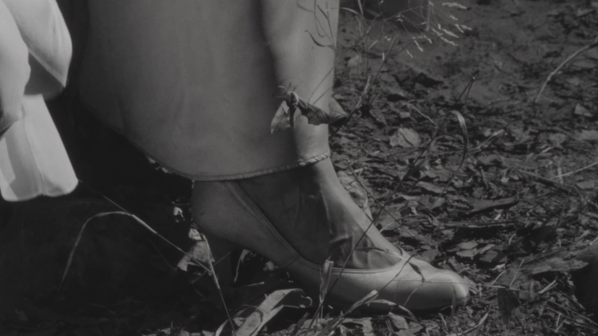 Backdrop for The Toadman of Topanga