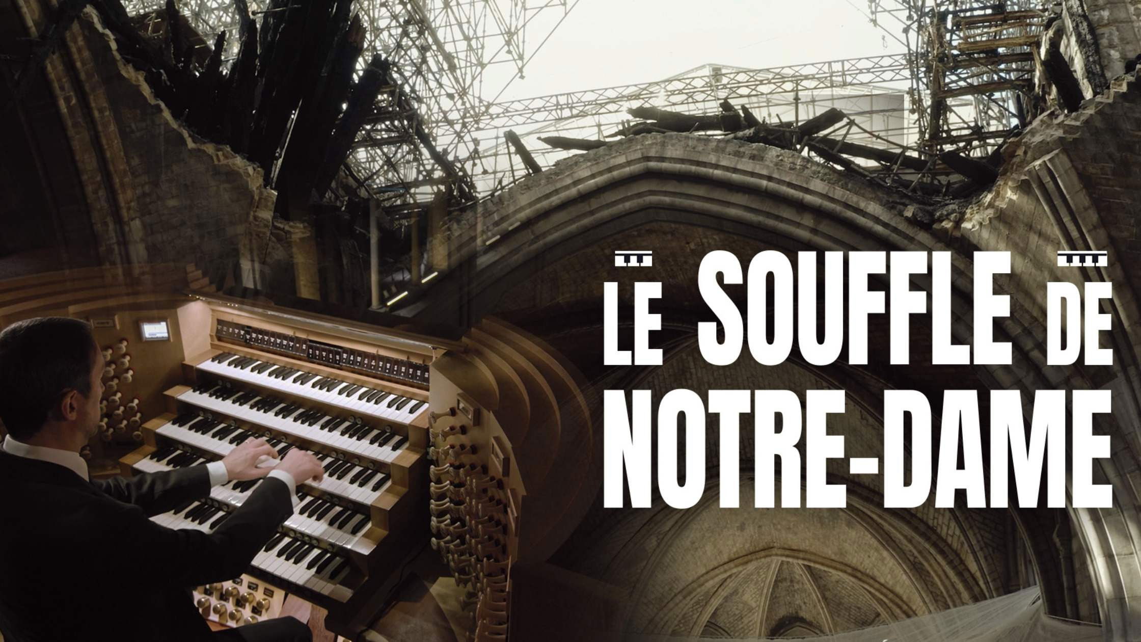 Backdrop for Le souffle de Notre-Dame