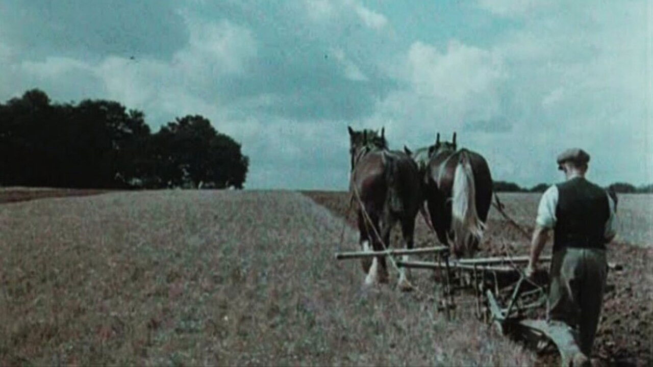 Backdrop for English Harvest
