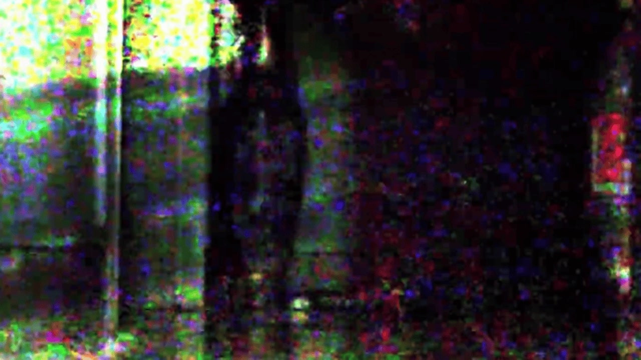 Backdrop for Drunk Bug or Feverish Slug