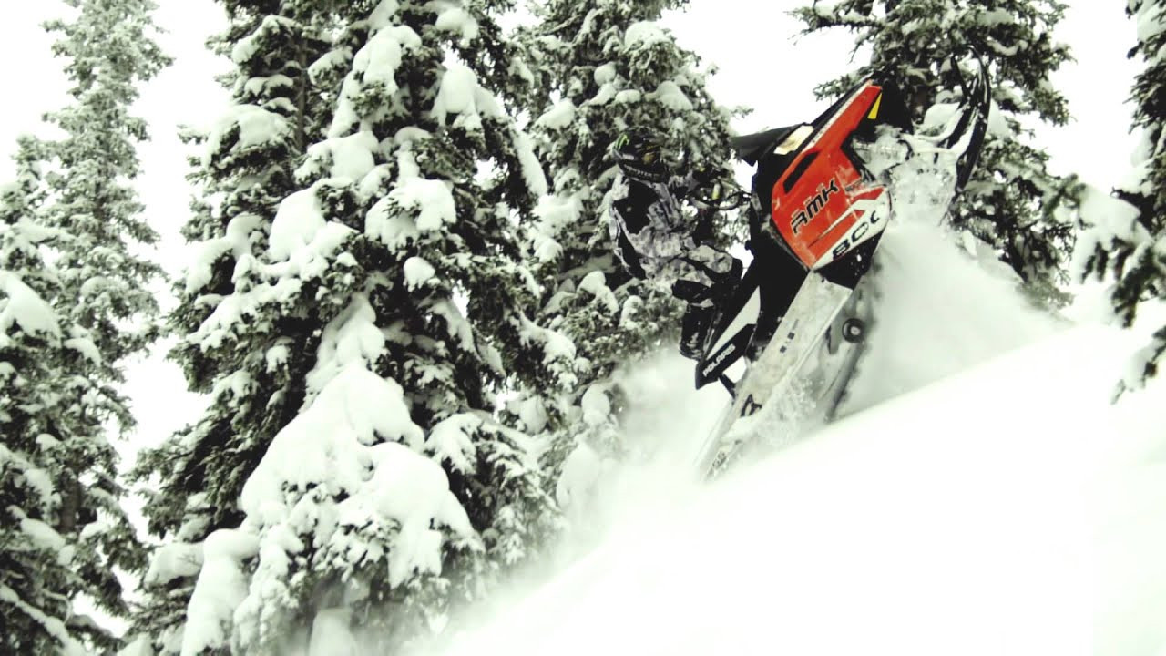 Backdrop for 509 Films: Volume 6