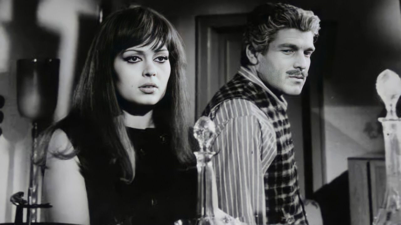 Backdrop for The Evening Sun