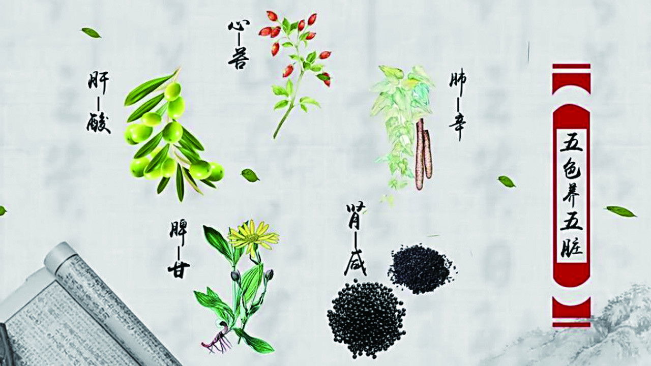 Backdrop for 本草传